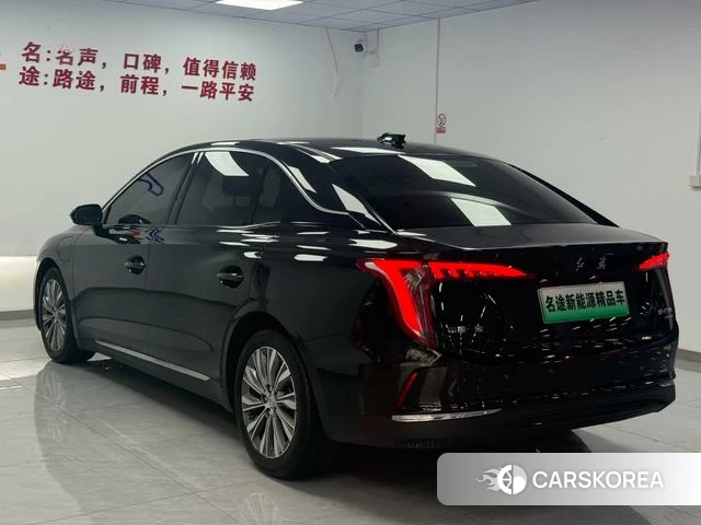 Red flag E-QM5 2023 Черный из Китая, фото 2
