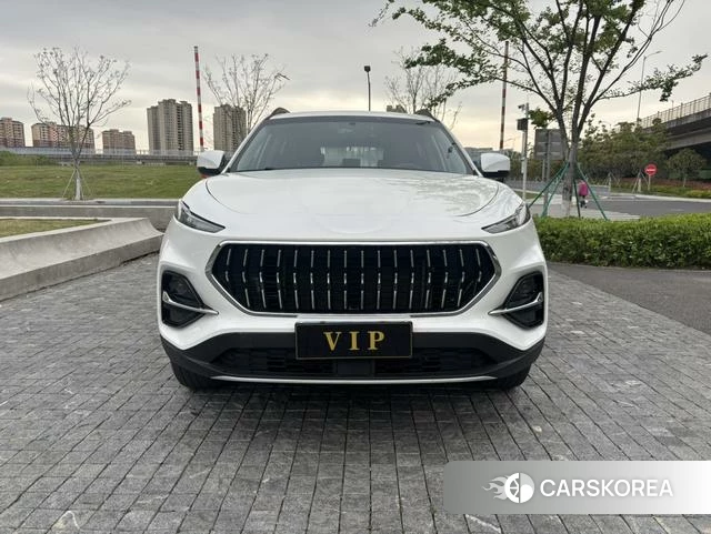 Jiangqi Group Jiayue X7 2020 Белый из Китая, фото 2