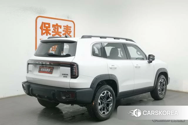 Haval Big dog id 4210364 из Китая 12