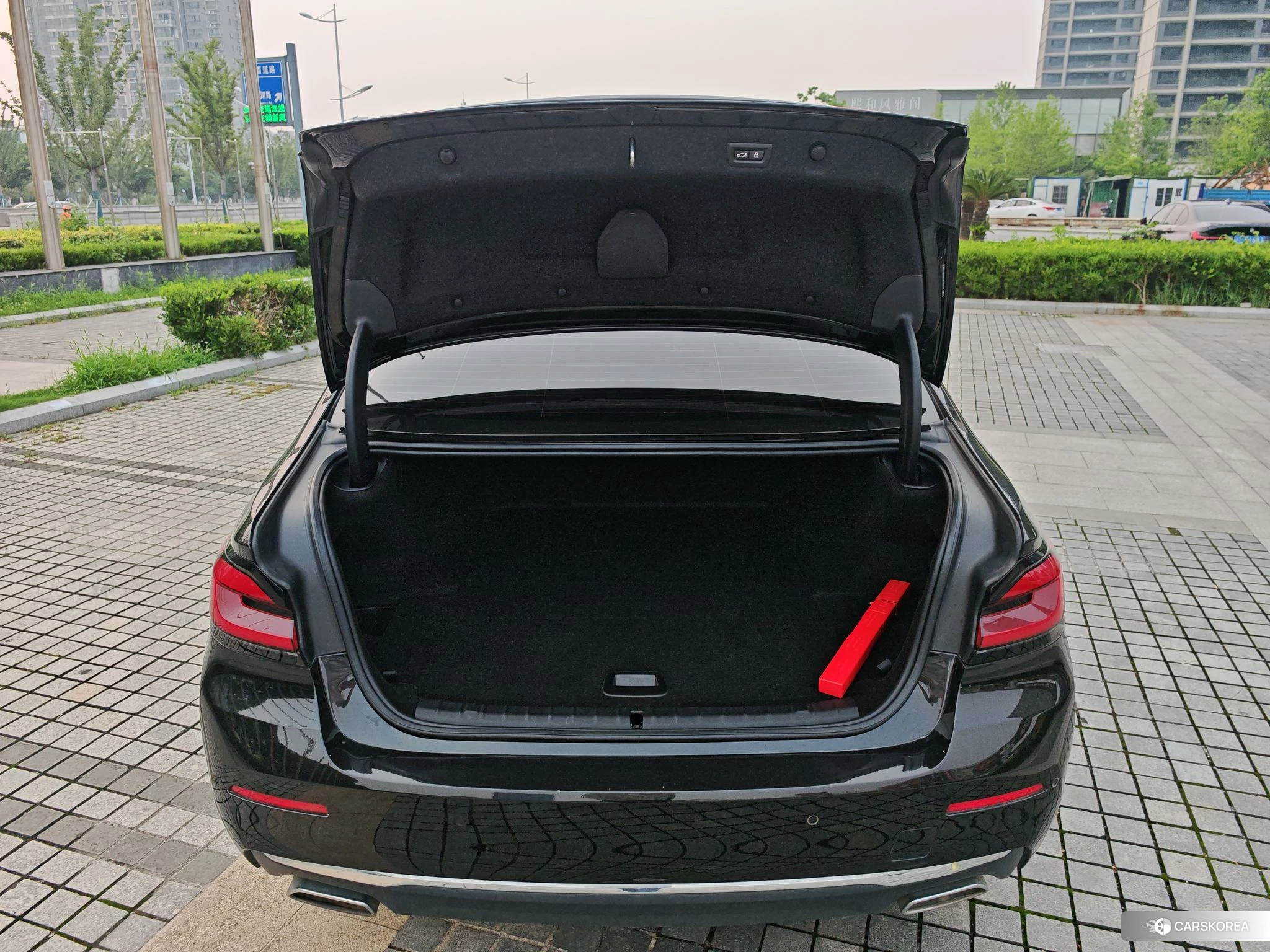 BMW 5 series PHEV id 4455305 из Китая 8