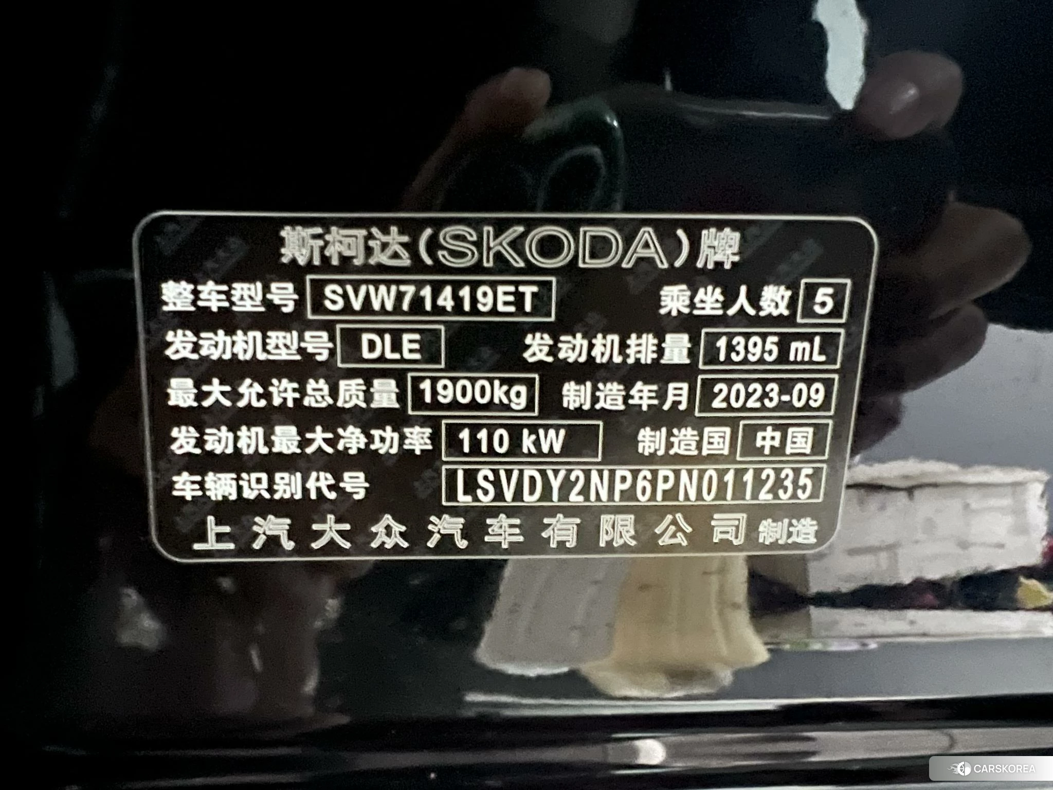 Skoda Speed pie id 4461304 из Китая 12