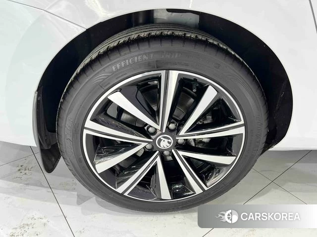 Skoda Speed pie id 4368045 из Китая 12