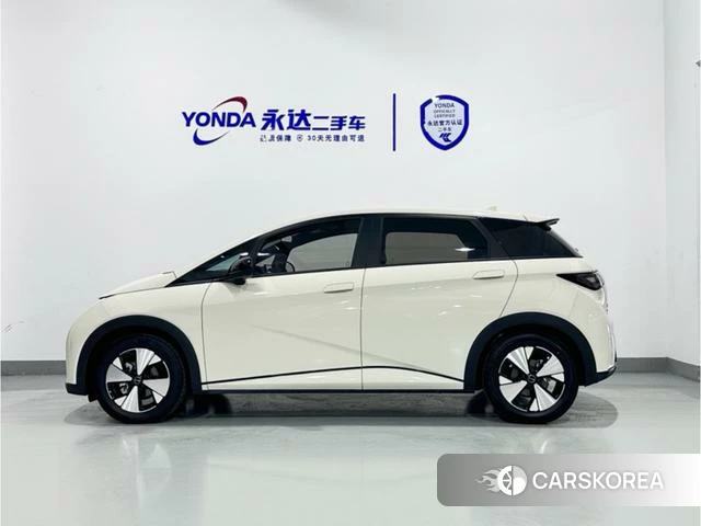 BYD dolphin id 4240193 из Китая 9
