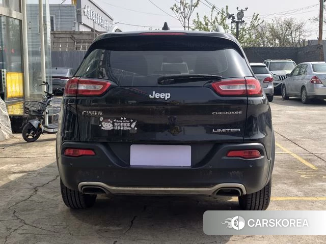 Jeep Free light id 4208500 из Китая 9