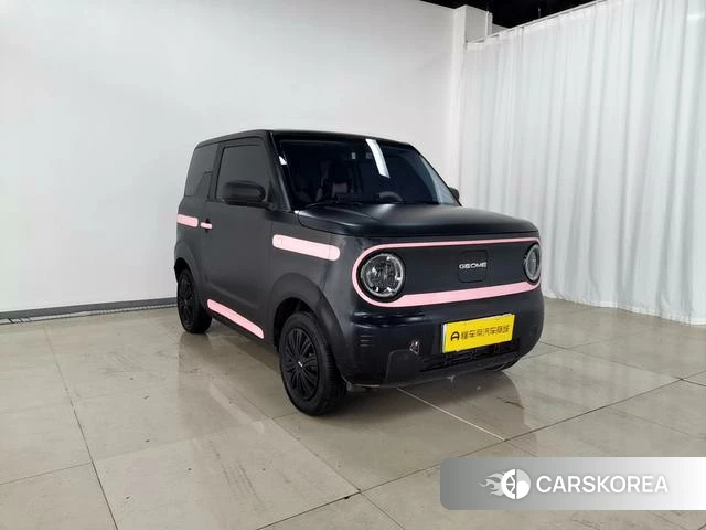 Geely Galaxy panda id 4253153 из Китая 12