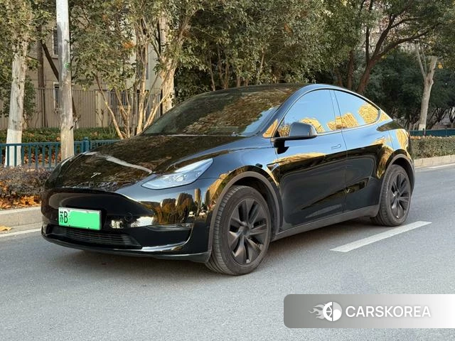 Tesla Model Y id 4209411 из Китая 10