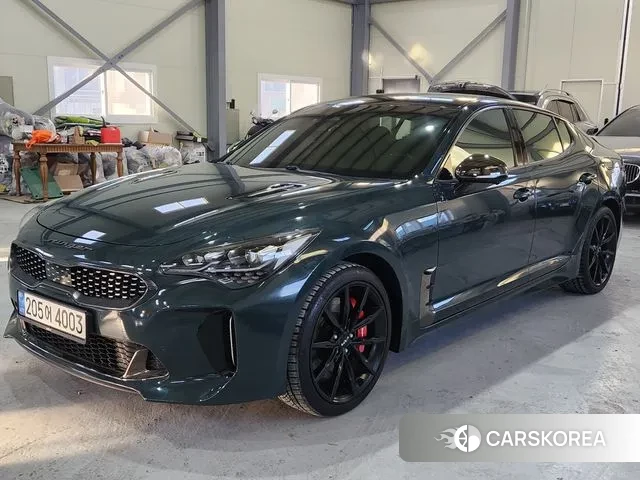 Kia Stinger Meister id 3534080 из Кореи 12