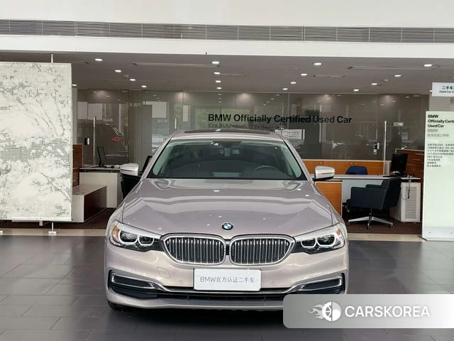 BMW 5 series 2019 Шампань из Китая, фото 5