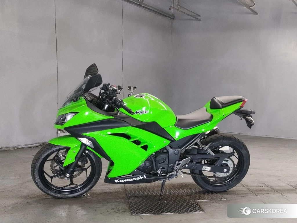 Проданный Kawasaki NINJA 250 2014 из Японии