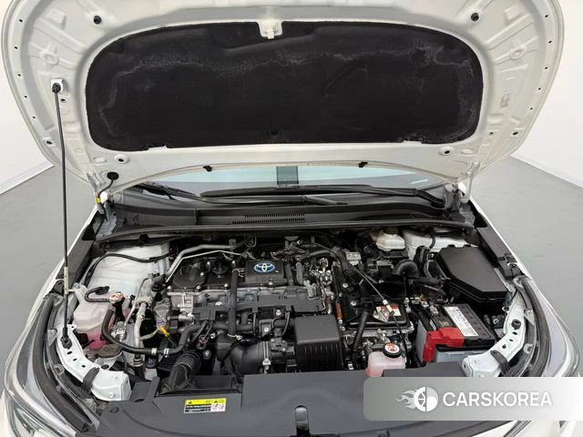 Toyota Lei Ling id 4263277 из Китая 12