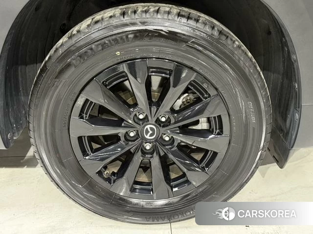 Mazda CX-50 line also id 4255733 из Китая 12