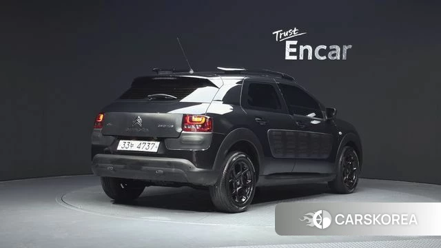 Citroen / DS C4 Cactus id 3853905 из Кореи 12