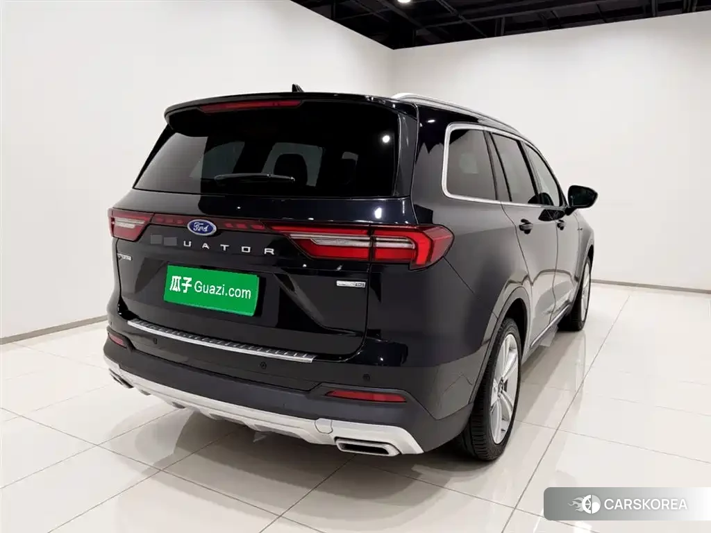 Ford Lingyu id 4514345 из Китая 13