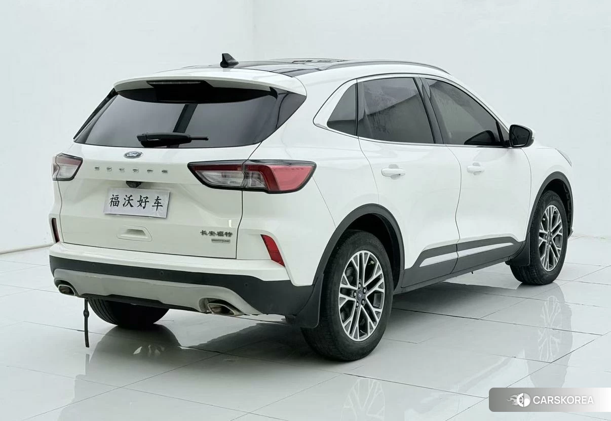 Ford Ruiji id 4455068 из Китая 13