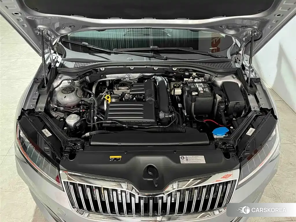 Skoda Speed pie id 4577562 из Китая 13