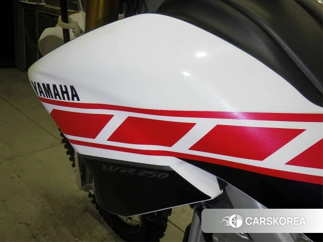 Yamaha WR250R id 3945399 из Японии 13