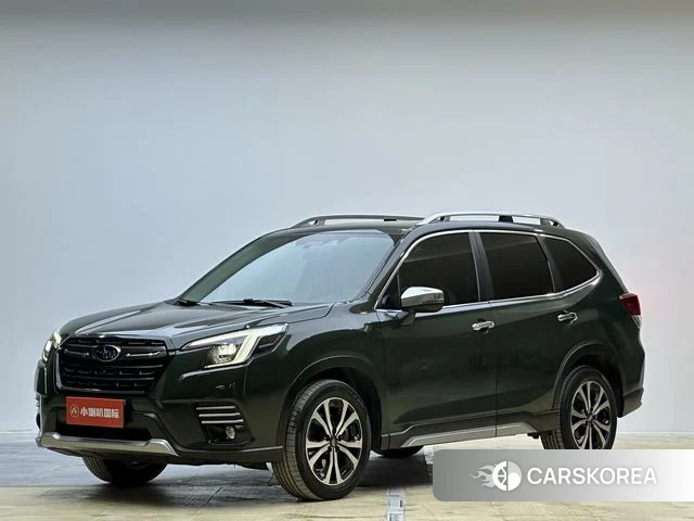 Subaru FORESTER Forester id 4207539 из Китая 13