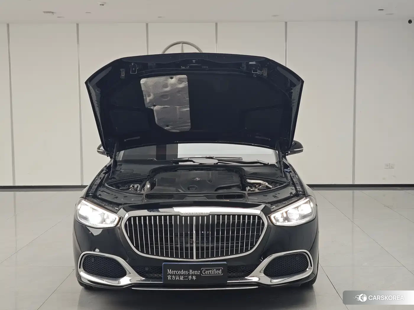 Mercedes-Benz Maybach S-Class id 4601003 из Китая 13