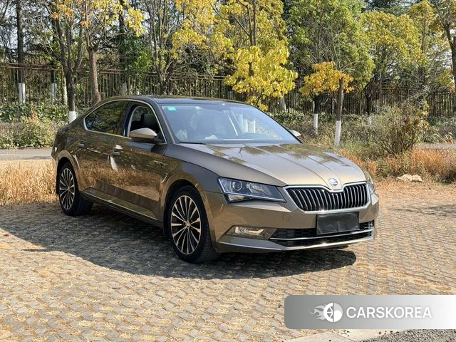 Skoda Speed pie id 3869879 из Китая 13