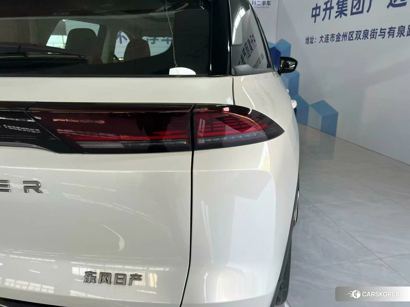 Nissan Exploring the land id 4513821 из Китая 13