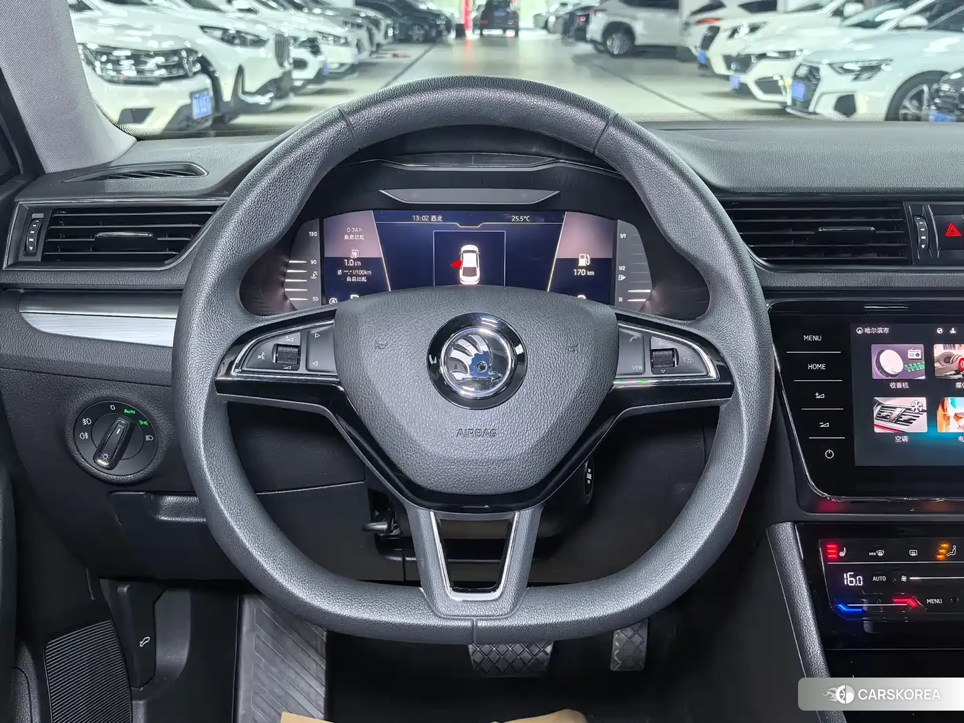 Skoda Speed pie id 4578277 из Китая 13