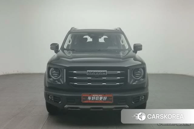 Haval Big dog id 4210237 из Китая 13