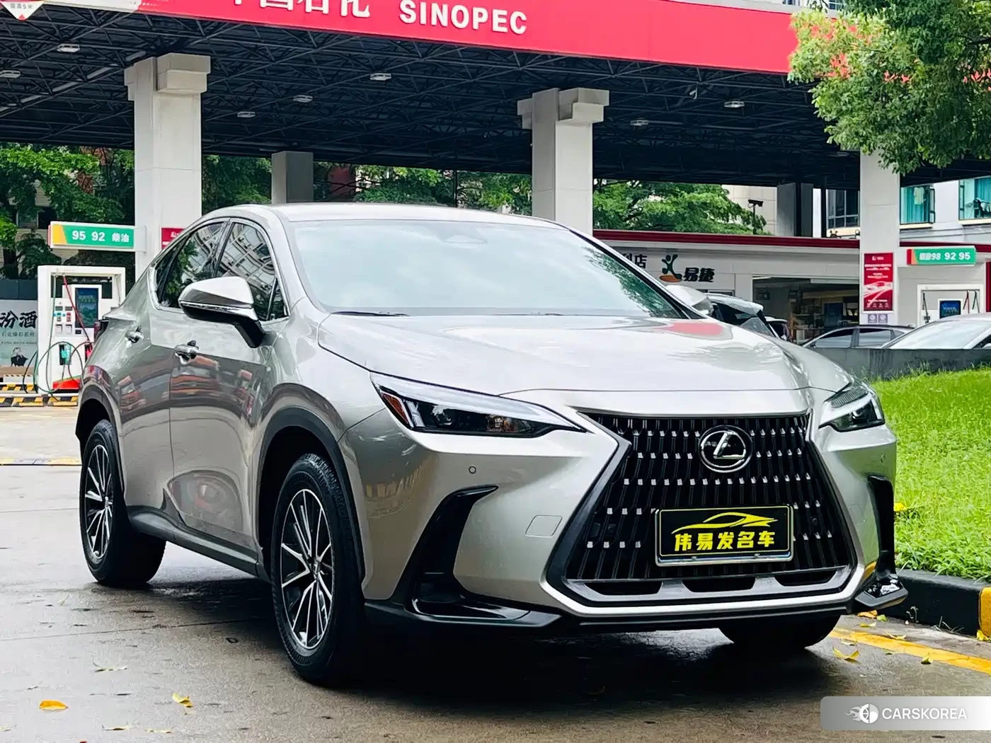 Lexus NX id 4548261 из Китая 13