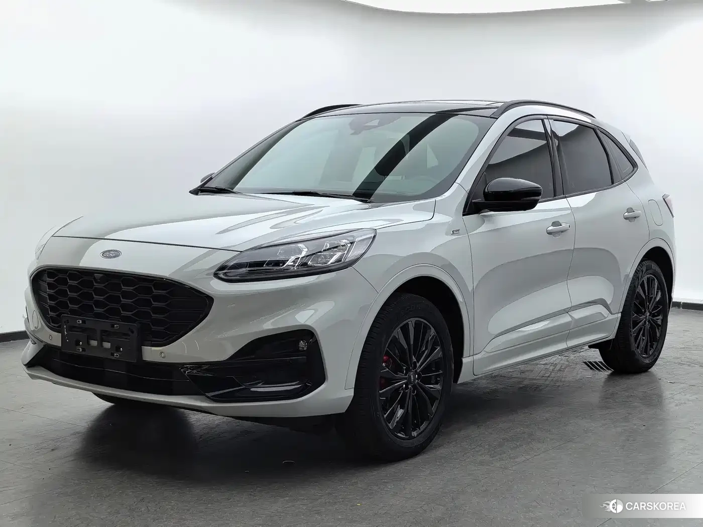 Ford Ruiji id 4546262 из Китая 13