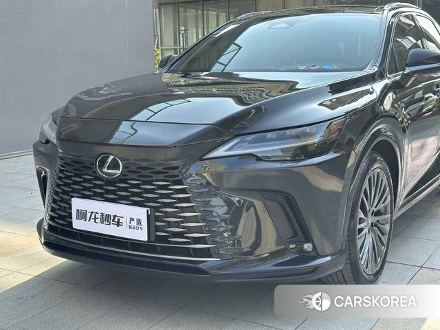 Lexus RX id 4368404 из Китая 13
