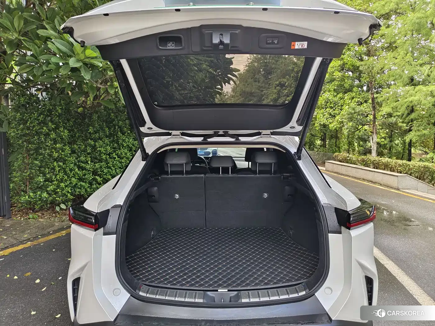 Lexus RZ id 4539170 из Китая 13