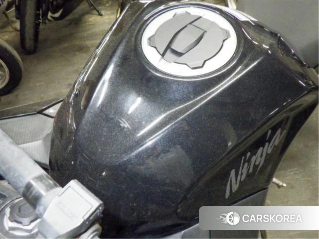 Kawasaki NINJA 250 id 3947443 из Японии 13