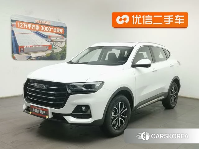 Haval H6 id 4210350 из Китая 13