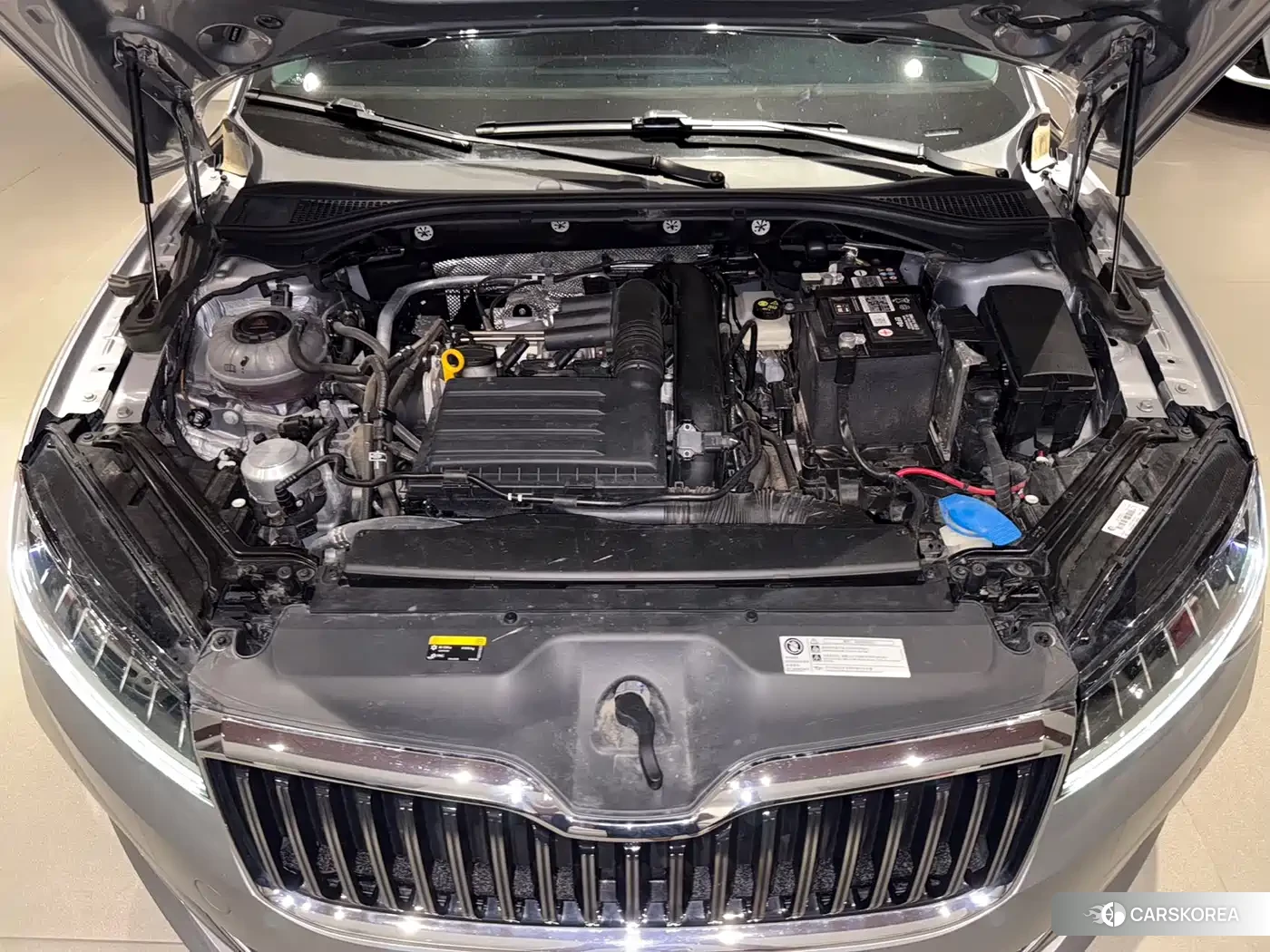 Skoda Speed pie id 4576264 из Китая 13