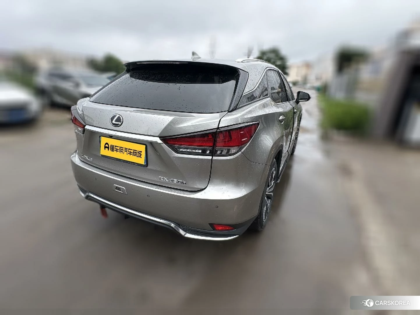 Lexus RX id 4461706 из Китая 13