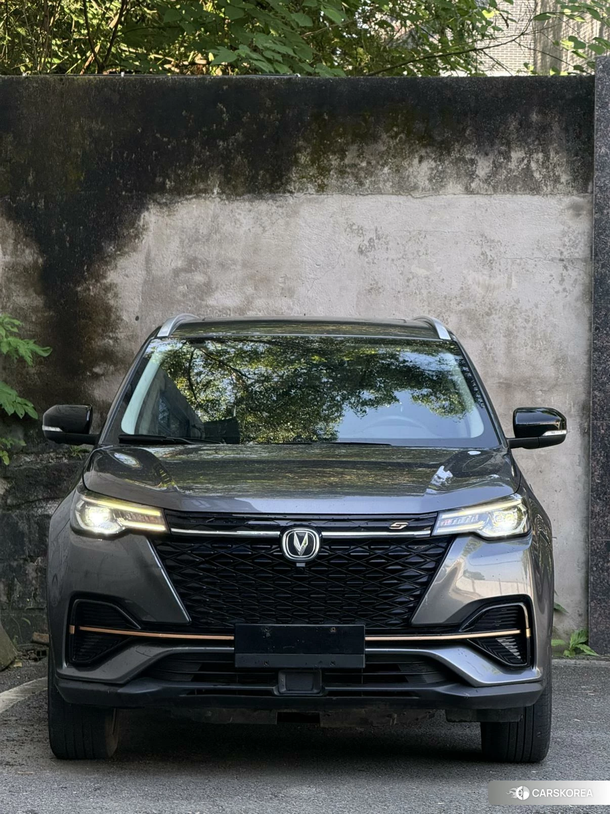 Chang'an CS55 PLUS id 4419510 из Китая 13