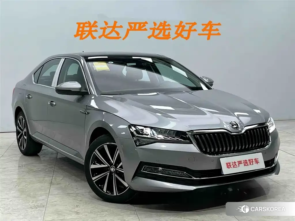 Skoda Speed pie id 4515552 из Китая 13