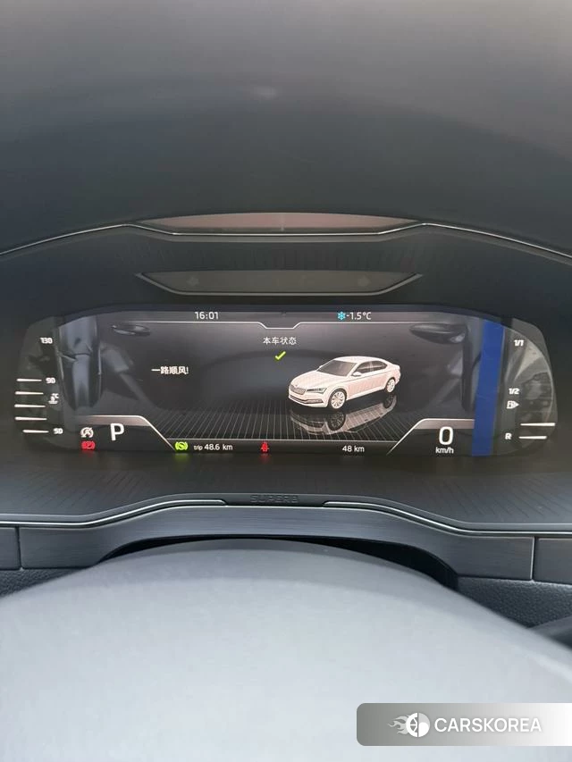Skoda Speed pie id 4182603 из Китая 13