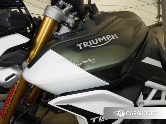Triumph TIGER 900 RALLY PRO id 3946624 из Японии 13