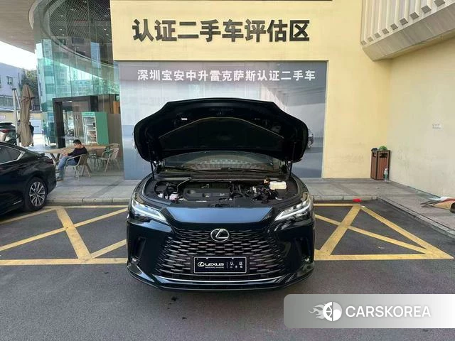 Lexus RX id 4274445 из Китая 13