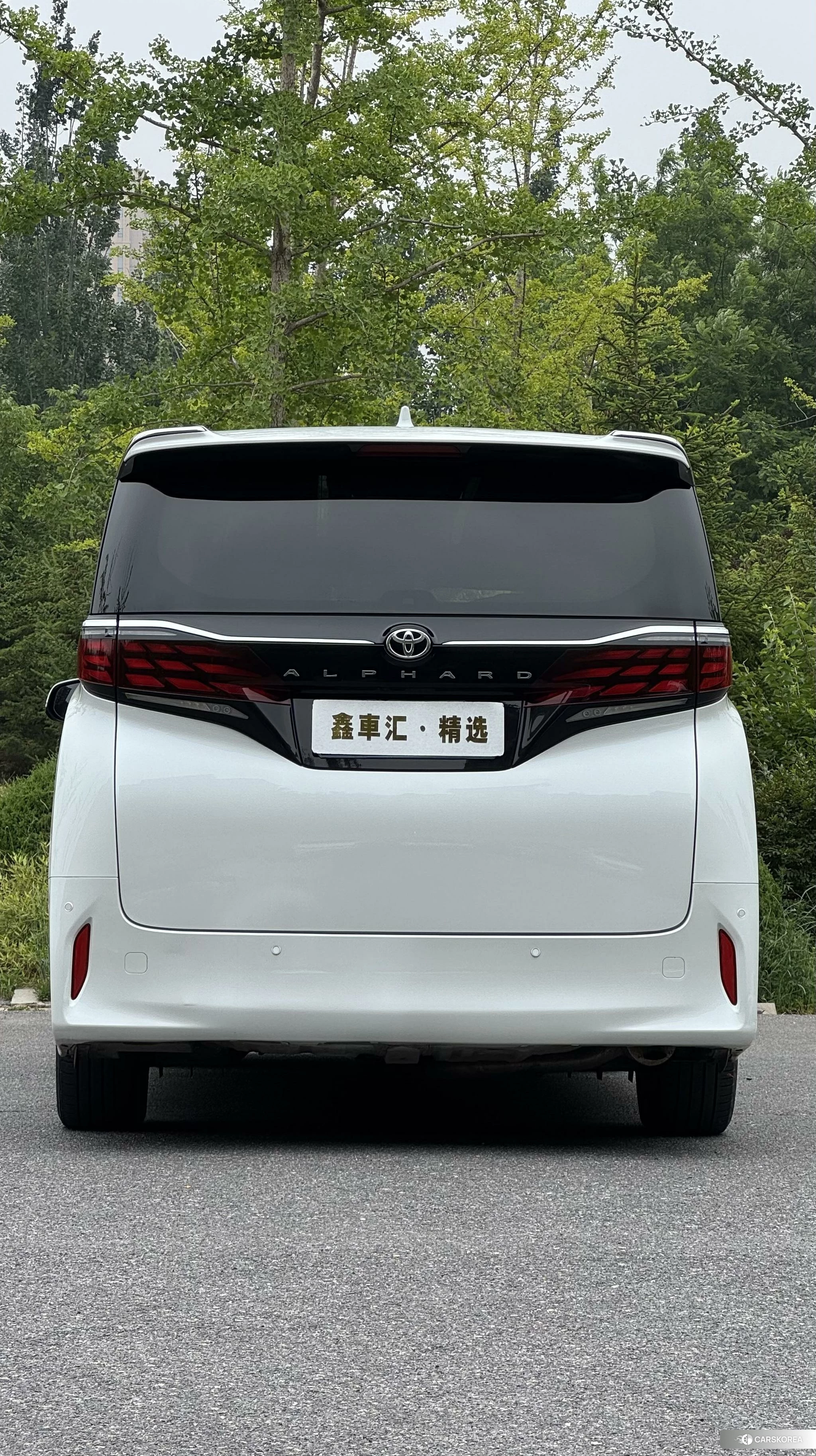Toyota Elfa id 4454654 из Китая 13