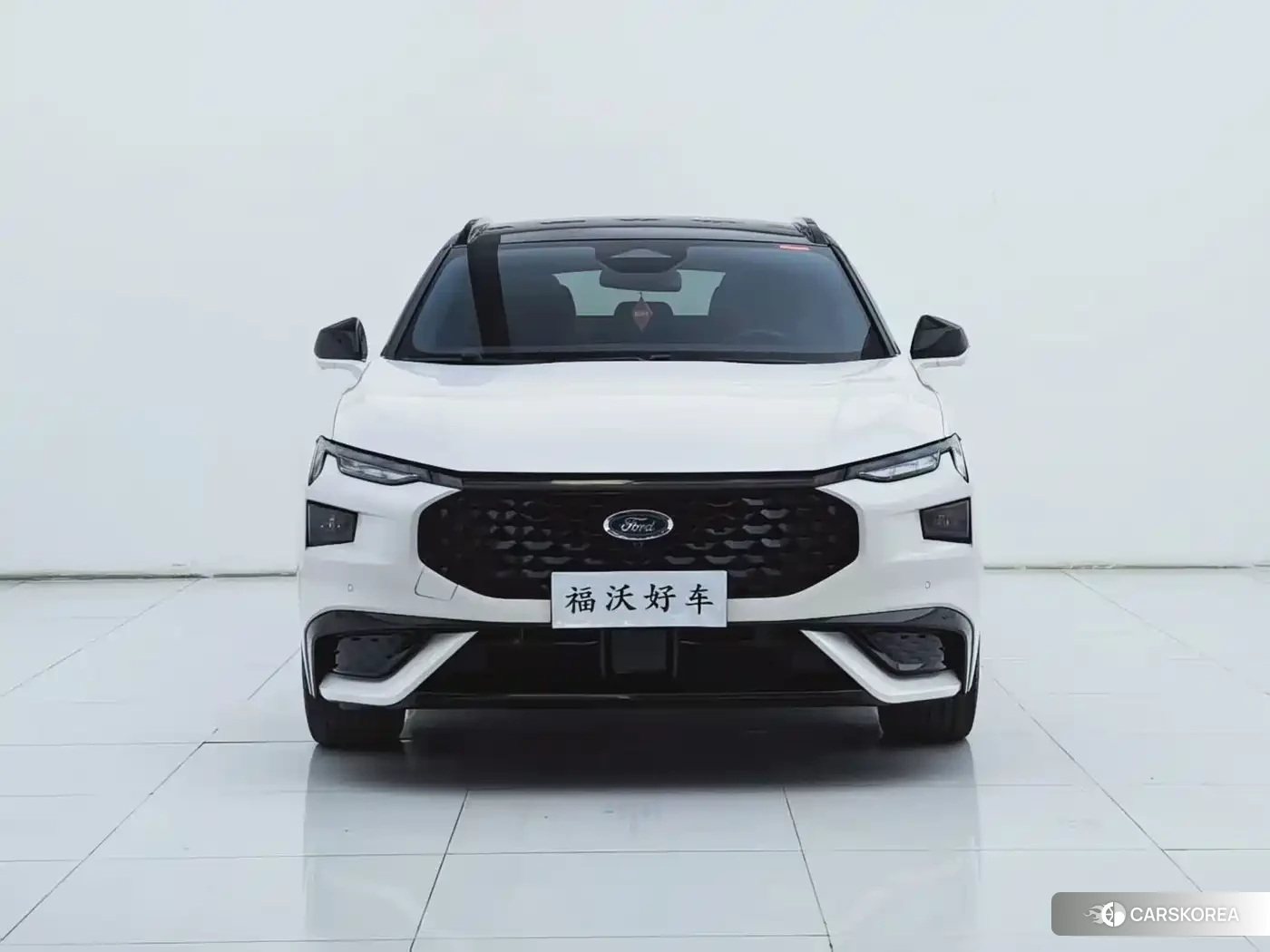 Ford Evos id 4680678 из Китая 13