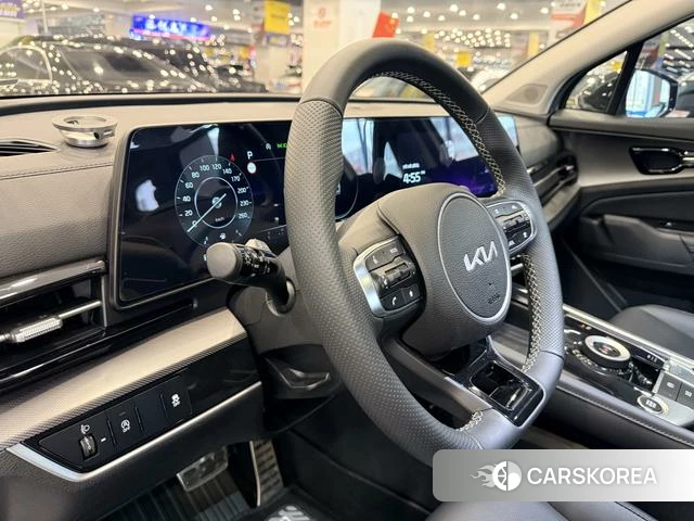 Kia Lion Platinum expands the world id 4297723 из Китая 13