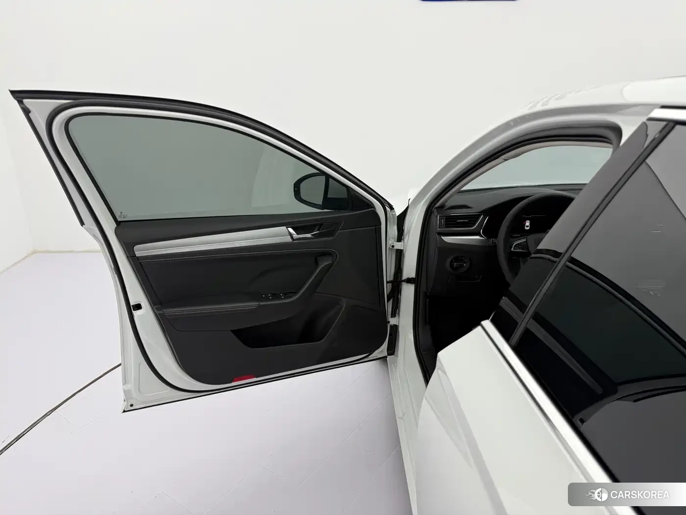 Skoda Speed pie id 4577707 из Китая 13