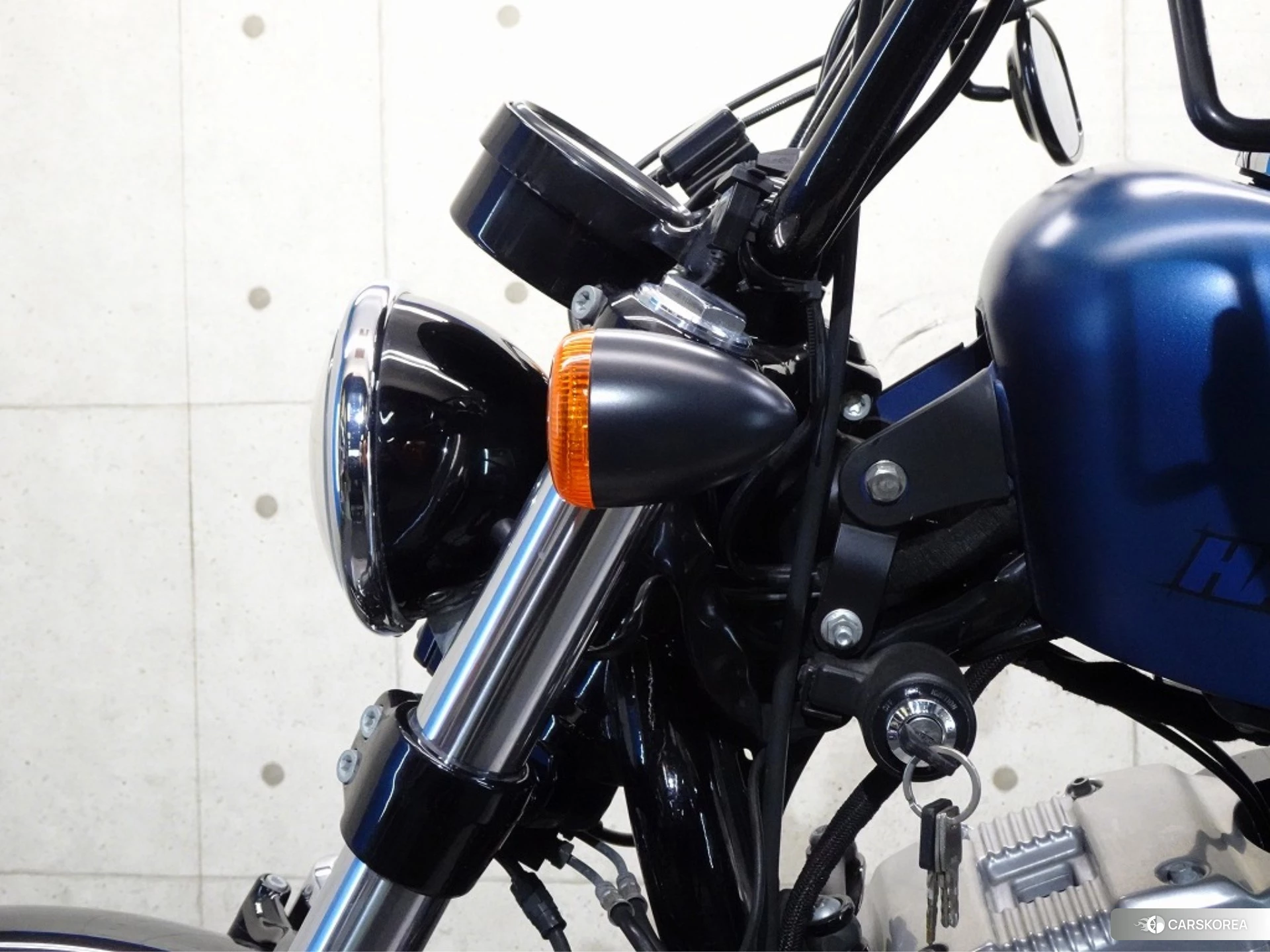 Harley-Davidson Sportster 48 XL1200X id 4191133 из Японии 13