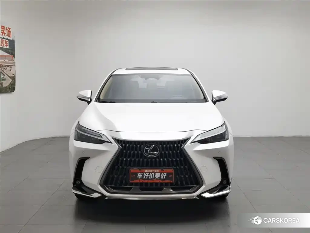 Lexus NX id 4589120 из Китая 13