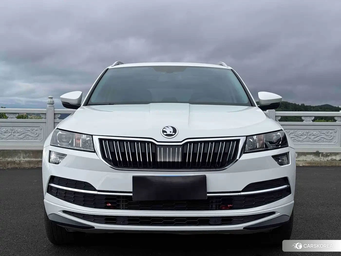 Skoda Karoq id 4634754 из Китая 13