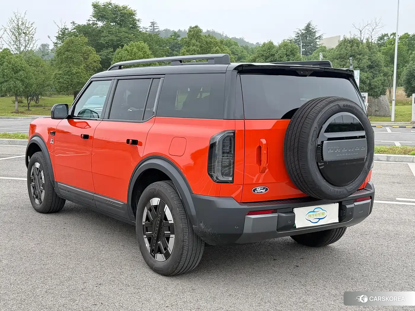 Ford Smart Fun Horse id 4514279 из Китая 13