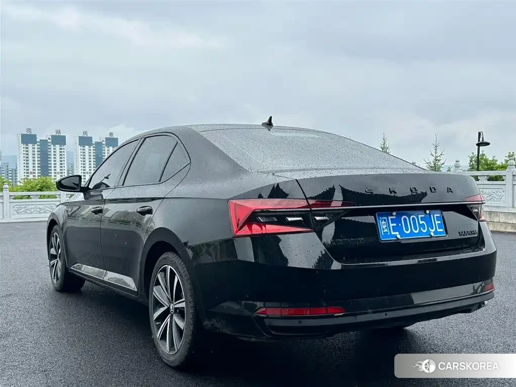 Skoda Speed pie id 4546418 из Китая 13