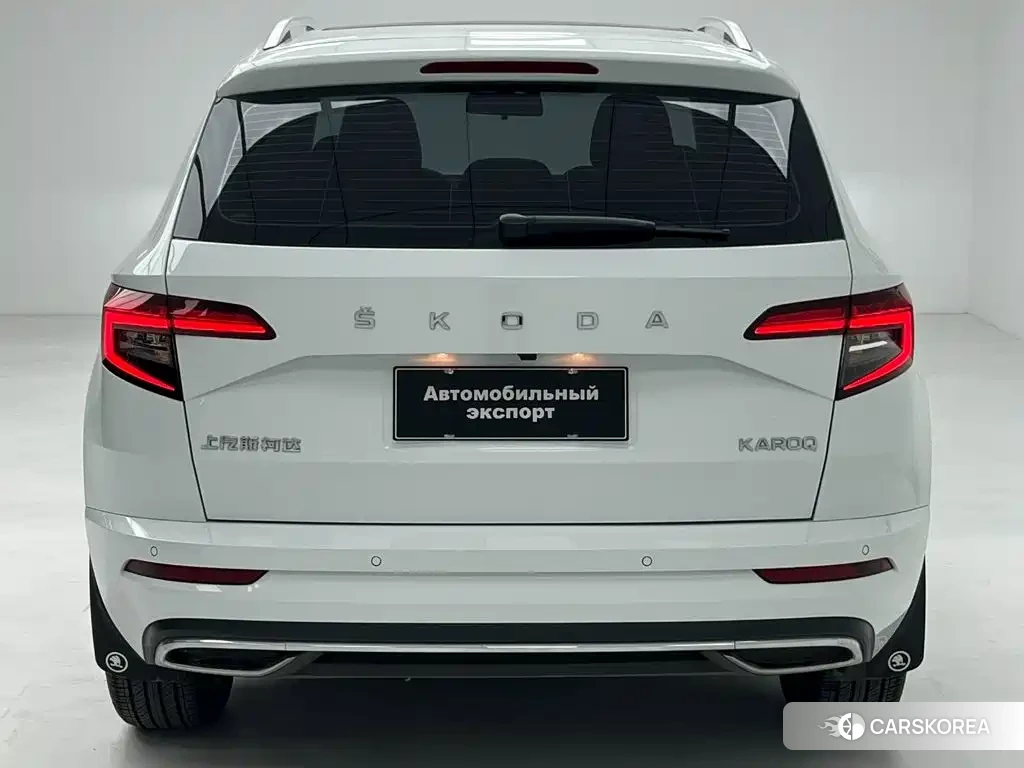 Skoda Karoq id 4680523 из Китая 13
