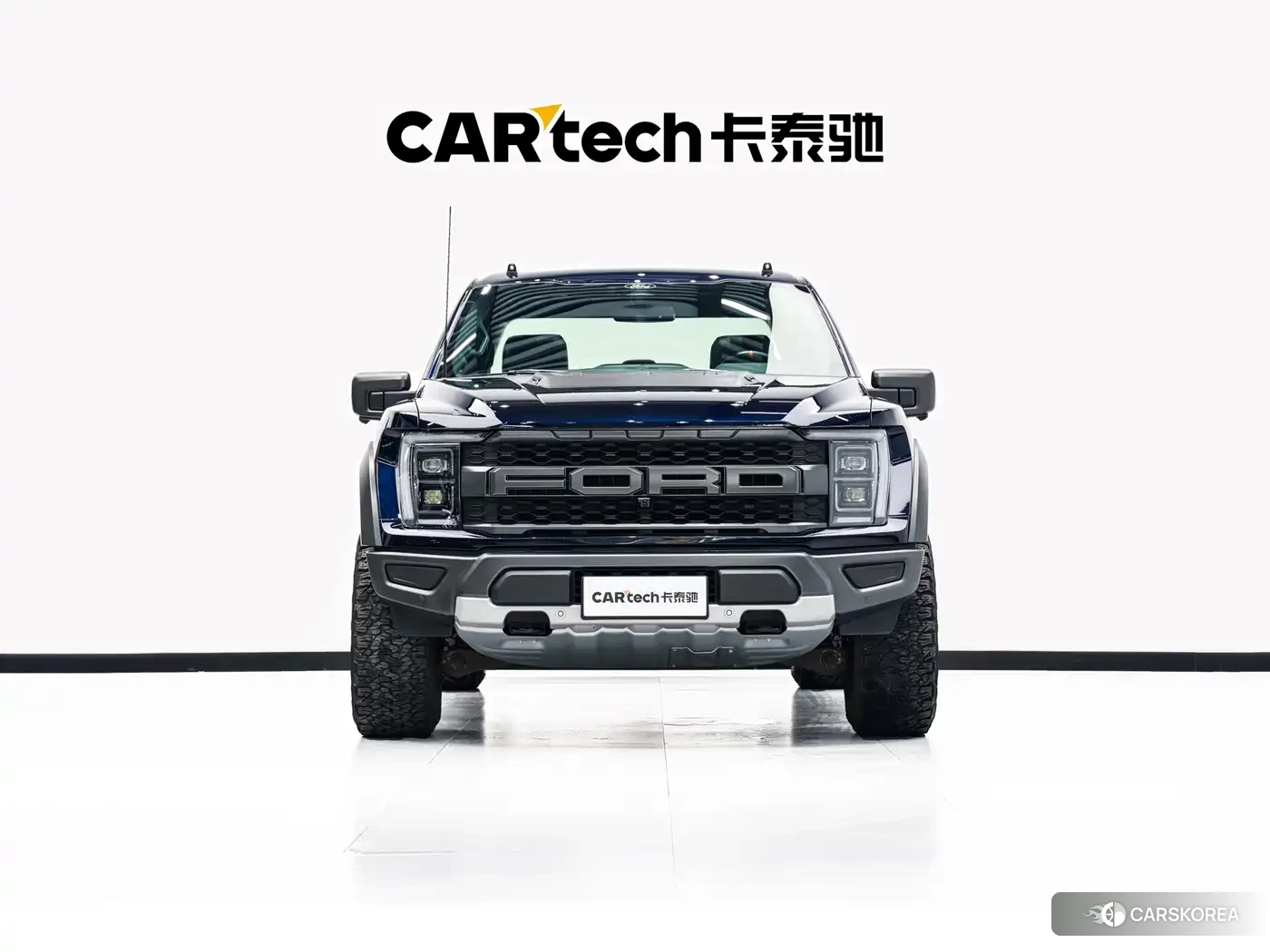 Ford F-150 id 4583683 из Китая 13